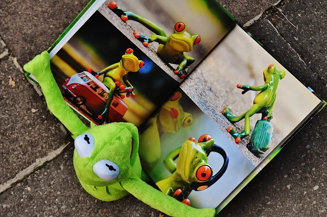kermit looks at a photobook